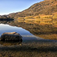 Buy canvas prints of Rydalwater by Jason Connolly