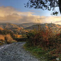Buy canvas prints of Little Langdale by Jason Connolly