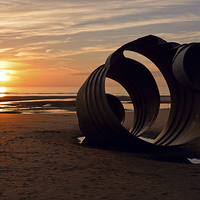 Buy canvas prints of  The Sunset Shell by Jason Connolly