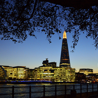 Buy canvas prints of  The Shard By Night by Jason Connolly