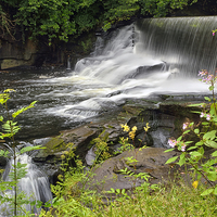 Buy canvas prints of  Aberdulais Falls by Jason Connolly