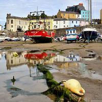 Buy canvas prints of  Tenby Harbour by Jason Connolly