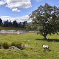 Buy canvas prints of  Wise Een Tarn, Cumbria by Jason Connolly