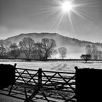 Buy canvas prints of Grasmere Starburst by Jason Connolly