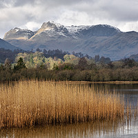 Buy canvas prints of Elterwater by Jason Connolly