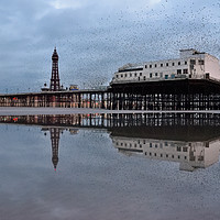 Buy canvas prints of Starlings At The Pier by Jason Connolly