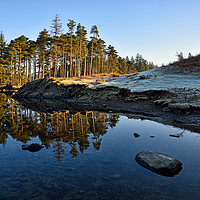 Buy canvas prints of Tarn Hows Reflections by Jason Connolly