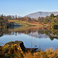 Buy canvas prints of Tarn Hows, Lake District by Jason Connolly