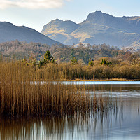 Buy canvas prints of Elter Water, Cumbria by Jason Connolly