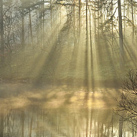 Buy canvas prints of Sunrays at Tarn Hows by Jason Connolly