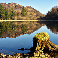 Buy canvas prints of Yew Tree Tarn Cumbria by Jason Connolly