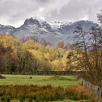 Buy canvas prints of The Langdale Pikes by Jason Connolly