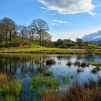 Buy canvas prints of Elterwater Spring by Jason Connolly