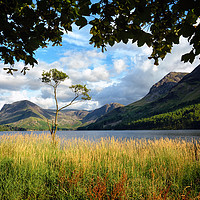 Buy canvas prints of Buttermere by Jason Connolly