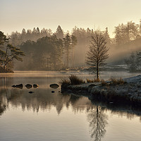 Buy canvas prints of Tarn Hows, Cumbria by Jason Connolly