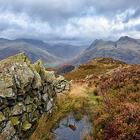Buy canvas prints of Views From Lingmoor Fell by Jason Connolly