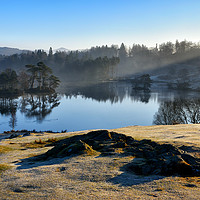 Buy canvas prints of Tarn Hows, Lake District. by Jason Connolly