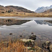 Buy canvas prints of Blea Tarn, Lake District by Jason Connolly