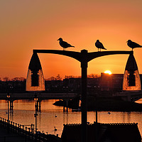 Buy canvas prints of Southport Seagulls At Sunset by Jason Connolly
