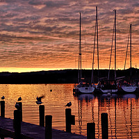Buy canvas prints of Windermere Sunset by Jason Connolly