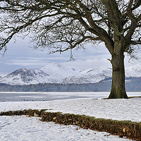 Buy canvas prints of Wintertime At Derwentwater by Jason Connolly