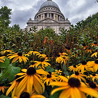 Buy canvas prints of St Paul's Cathedral by Jason Connolly