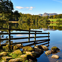 Buy canvas prints of Loughrigg tarn Reflections by Jason Connolly