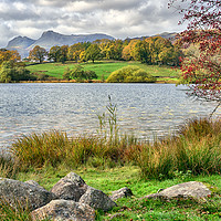 Buy canvas prints of Loughrigg Tarn Views by Jason Connolly