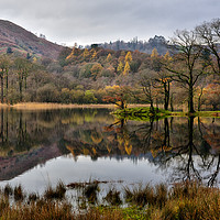 Buy canvas prints of Rydalwater, Cumbria. by Jason Connolly