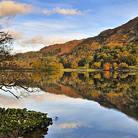 Buy canvas prints of Rydalwater, Lake district. by Jason Connolly