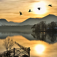 Buy canvas prints of Geese In The Golden Hour. by Jason Connolly