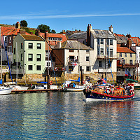 Buy canvas prints of Whitby Harbour by Jason Connolly
