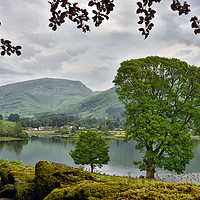 Buy canvas prints of Views Over Grasmere by Jason Connolly