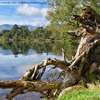 Buy canvas prints of Tarn Hows, Cumbria. by Jason Connolly