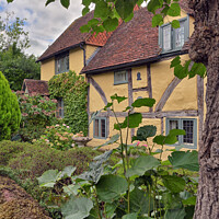 Buy canvas prints of Lime Cottage, Shere Village. by Jason Connolly