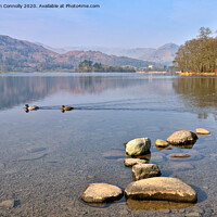 Buy canvas prints of Ducks On Grasmere. by Jason Connolly
