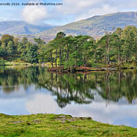 Buy canvas prints of Tarn Hows, Cumbria. by Jason Connolly
