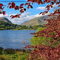 Buy canvas prints of Grasmere Views. by Jason Connolly