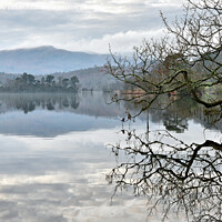 Buy canvas prints of Rydal Water Reflections. by Jason Connolly