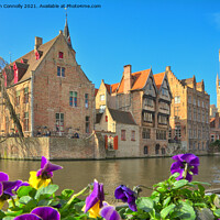 Buy canvas prints of Pansies In Bruges. by Jason Connolly