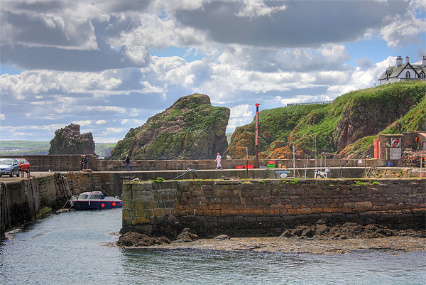 St. Abbs Harbour Picture Board by Tom Gomez