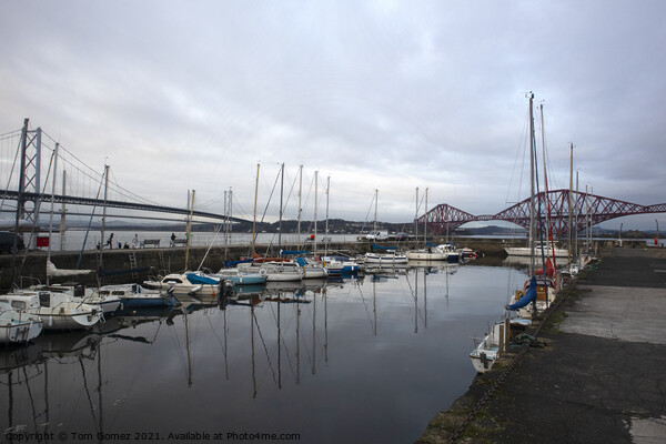 Queensferry Harbour and Bridges Picture Board by Tom Gomez