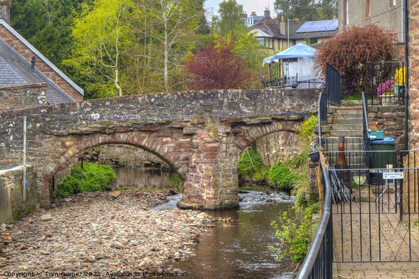 The Packhorse Bridge at Alyth Picture Board by Tom Gomez