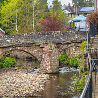 Buy canvas prints of The Packhorse Bridge at Alyth by Tom Gomez