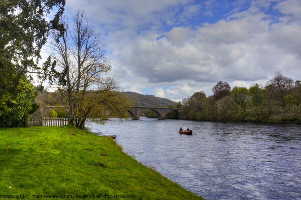 Fishing on the River Tay Picture Board by Tom Gomez
