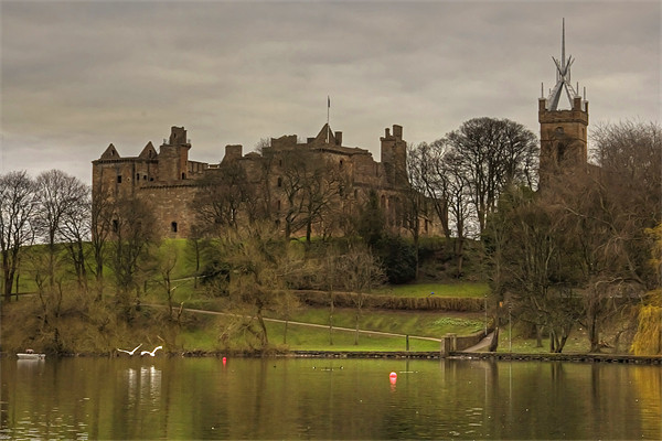 Linlithgow Loch View Picture Board by Tom Gomez