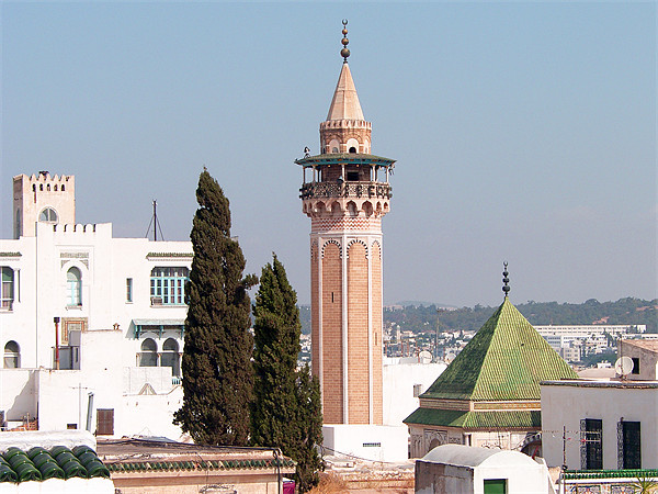 Hammouda Pacha Minaret Picture Board by Tom Gomez