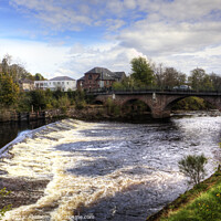 Buy canvas prints of Blairgowrie by Tom Gomez