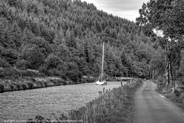 Crinan Canal - B&W Picture Board by Tom Gomez