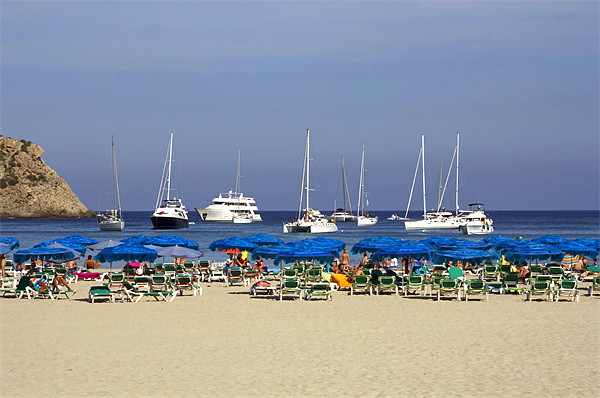 Yachts and Beach Umbrellas Picture Board by Tom Gomez